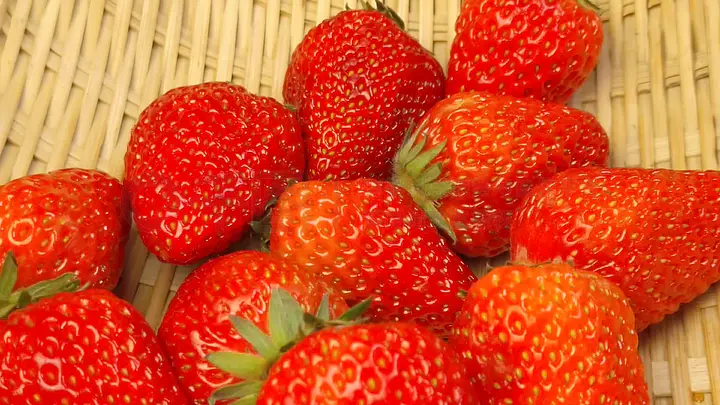 视频eu 视频运作机制的视频视频