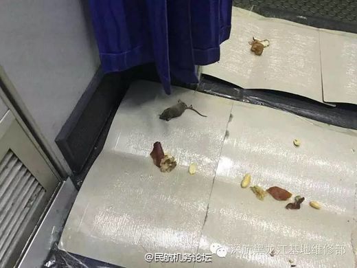 里番那天在网路上