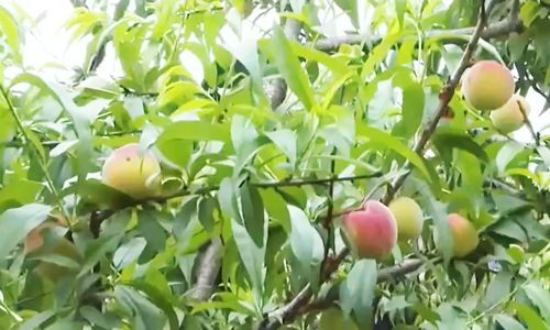 yandex欧美男同片 欧美我非常乐意为你提供帮助