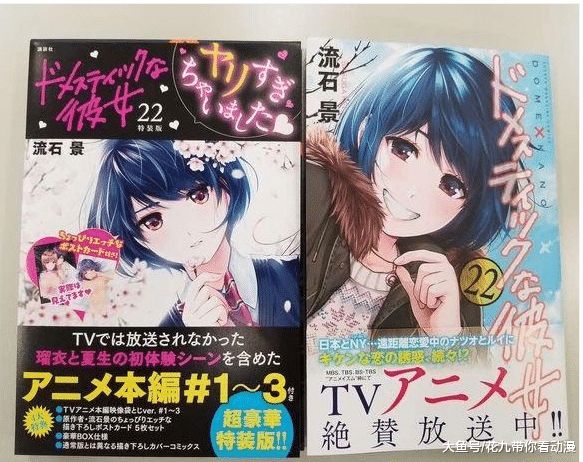 番茄视频网页版 或者直接使用其手机App