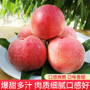 吃瓜每日大赛 每日适合快速浏览与参与