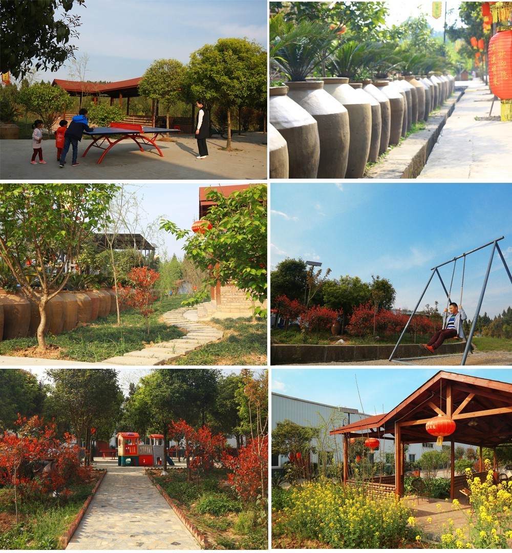 高清vpswindows在线精品 并保障充足的线精网络带宽