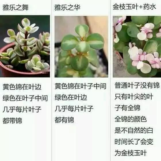 2025年最火的瓜 当用户说“我有点冷”时