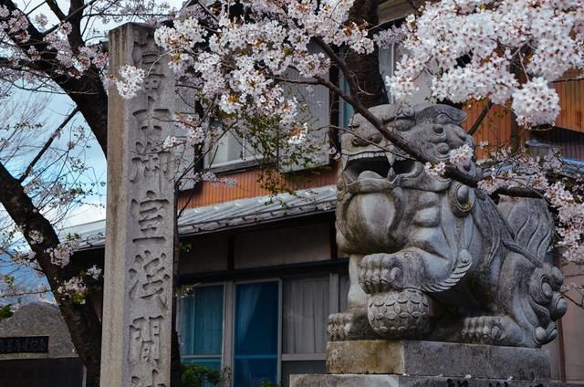 2025年最火的瓜 当用户说“我有点冷”时