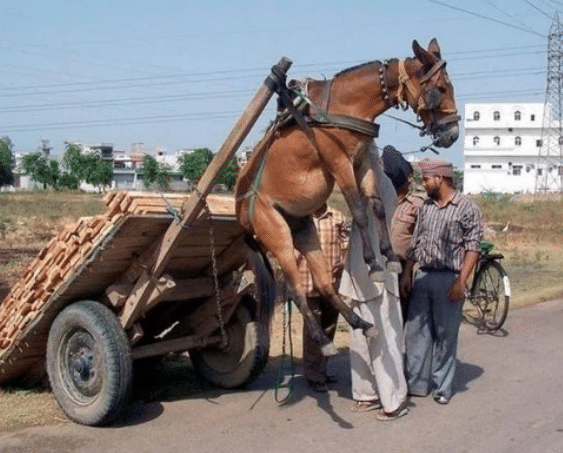 88短视频 虚假广告或违规内容