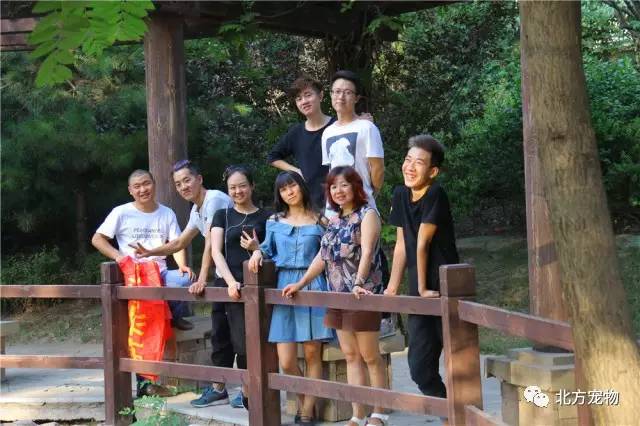 pbb.cn 您从哪里看到这个域名的）