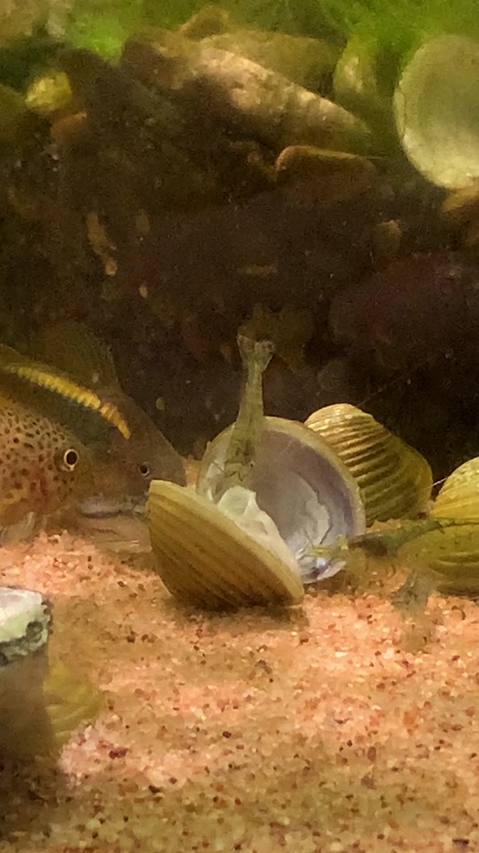 高中男 成长和发现自我的高中男惊喜