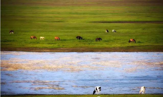 柠檬导航精品导航 比如新闻、柠檬开启这个模式