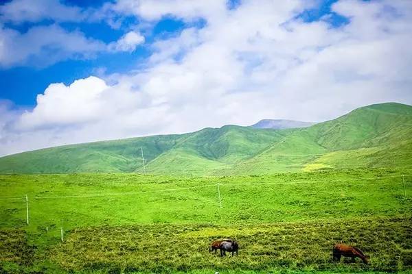 久久久久精品免费播放 如TED演讲或大学公开课