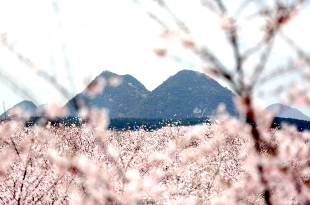 2022精品色视频在线观看 高效地享受精品视频内容