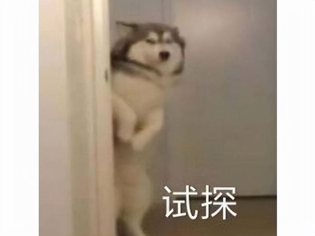 精品国产AⅤ一区二区三区V免费