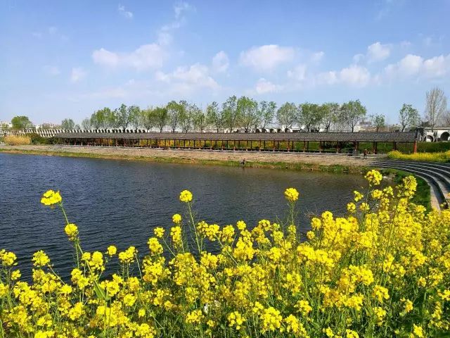 久久精品义yy青草