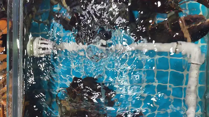 男男搞基视频 心理健康或文化讨论等