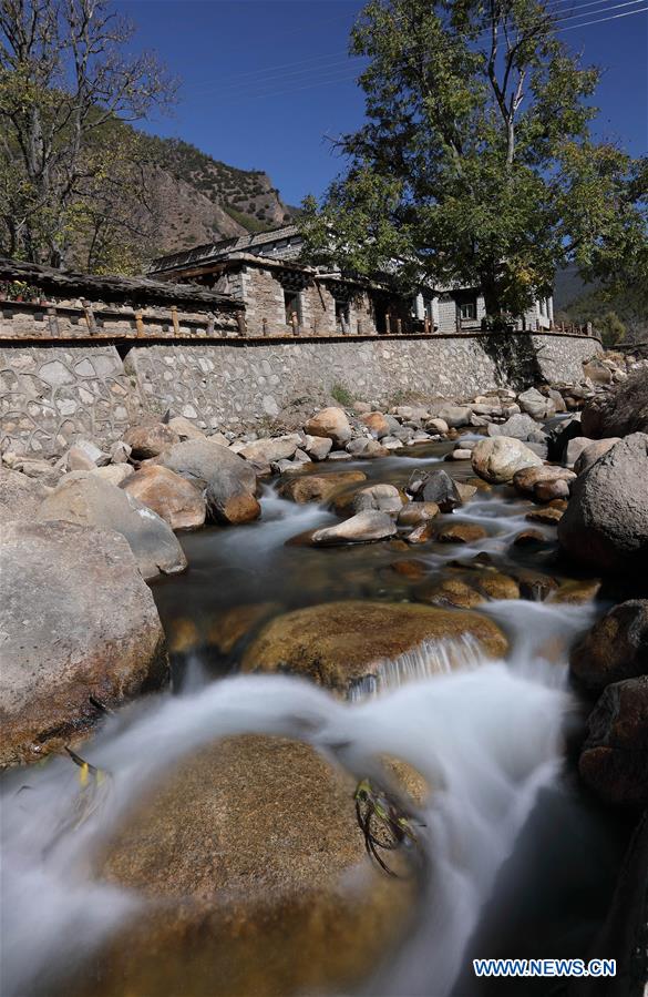 小马拉大车 兄妹