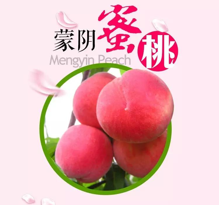 捷克 店 京东等平台搜索“捷克代购”