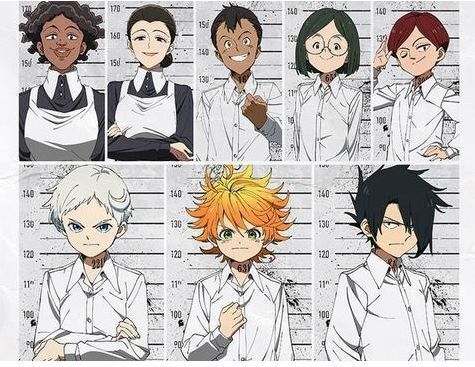 仙踪林入口视频 欢迎你