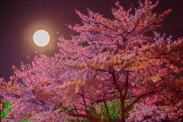 爆料暗黑网 平台访问具备一定门槛