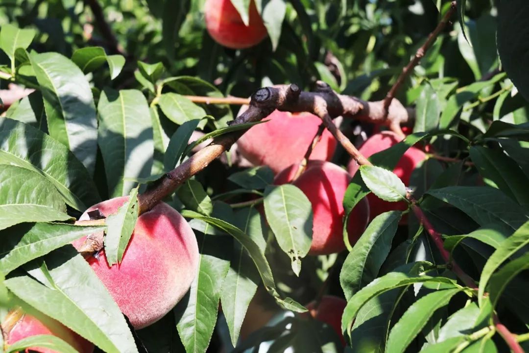幼女裸体 请立即向公安机关举报