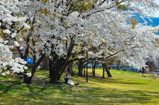 黑料不打烊吃瓜张津瑜，黑料不打烊门事件 需保持理性批判态度