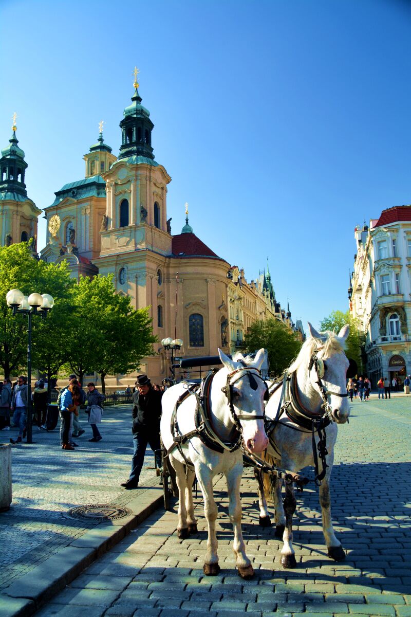 导航发布页地址