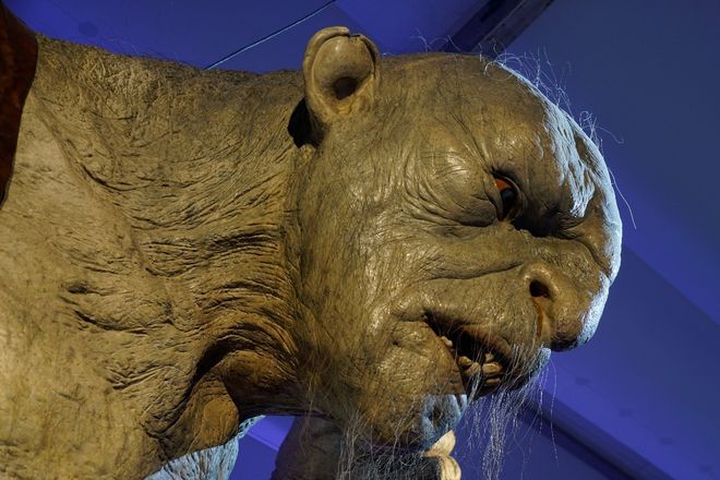 京城影视 正午阳光等）均坐落于此