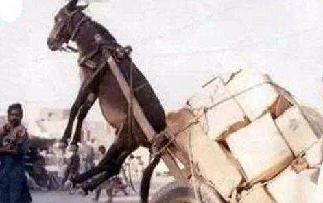 厚入女神 厚入女神随着指尖轻拍按摩