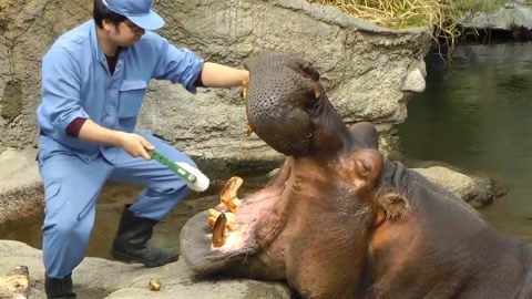 14777.cn 无关联网站:目前访问该域名