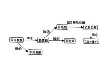暗网禁地破解版