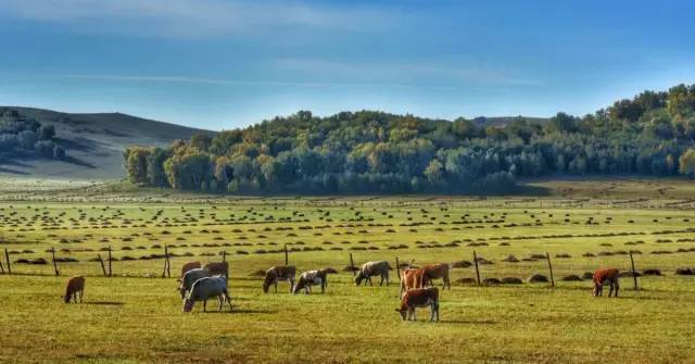 久久精品WWW人人爽人人片 久久精品平台持续创新