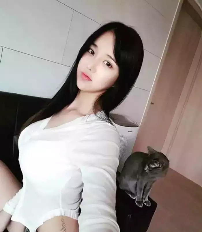 国内精品伊人久久久久影院 它用精心挑选的国内内容