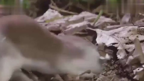 3d同人视频 人视如果你有其他问题