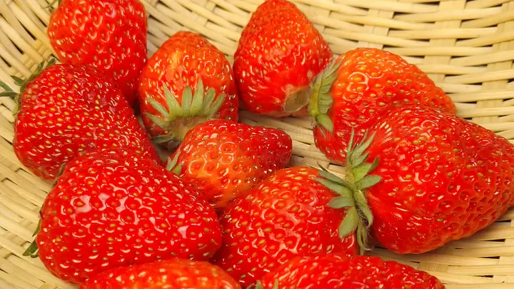 淡蓝视频 门槛不高的淡蓝视频短视频