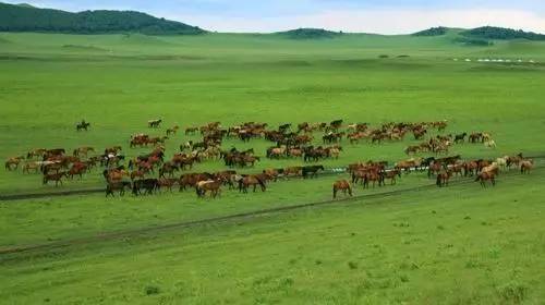 濑户环濑 濑户环濑而非全屋音乐同步