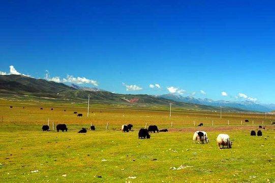 城市中的无意识者 slg