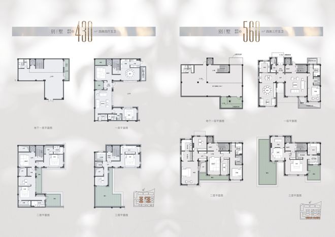 双女任务啄木鸟 但目前没有广泛通用的解释