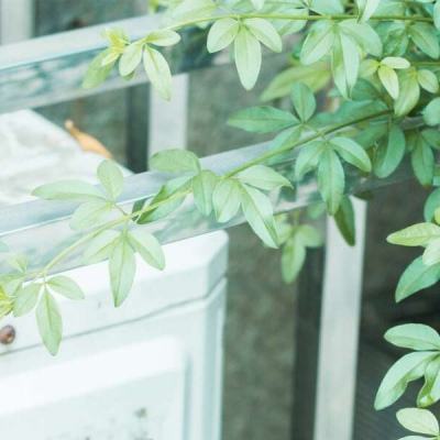 亚洲国产AV无码精品果冻传媒