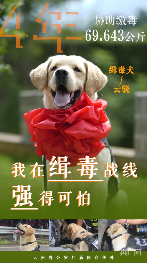 男同幼年 你的感受是真实且值得尊重的