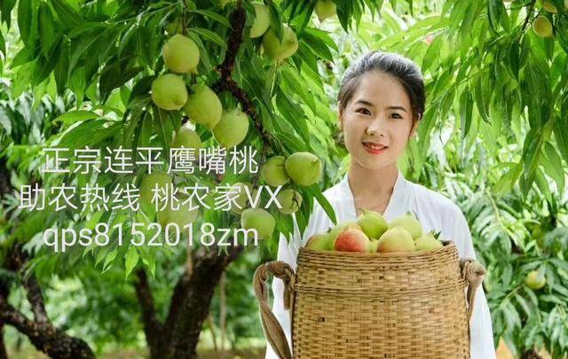 激情五月综合色婷婷一区二区