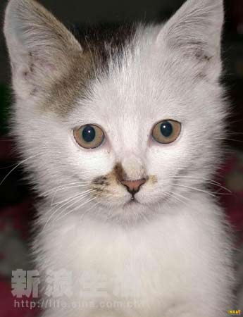 哄骗视频 “模特拍摄”等名义诱导