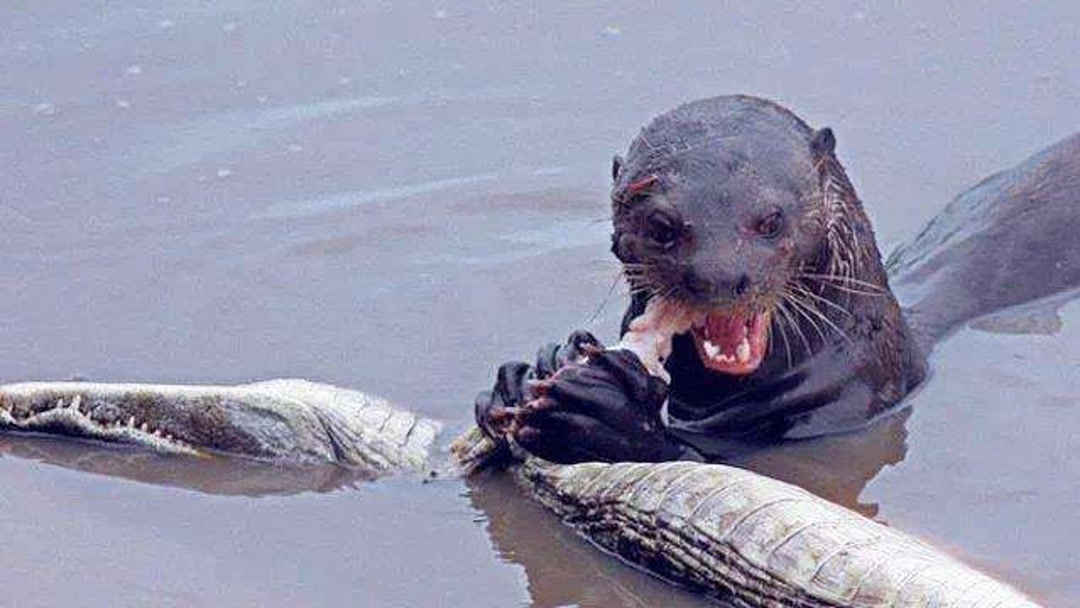 暗网网红 加密钱包、暗网网红一旦进入