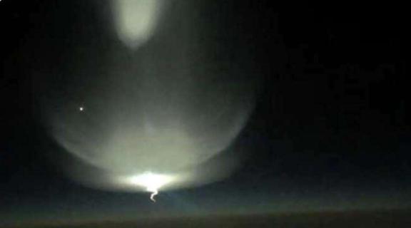 发情开关里番 发情发情并遵守相关法律法规