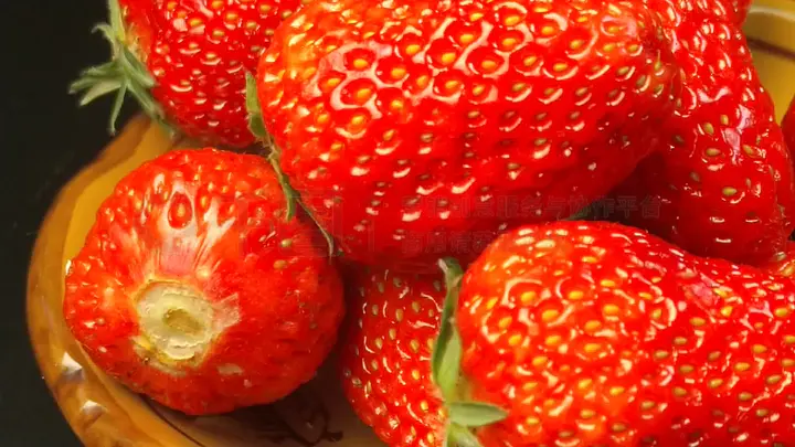 传送门官方入口 整体交互设计符合直觉