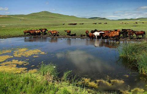 精品久久香蕉国产线看观看亚洲