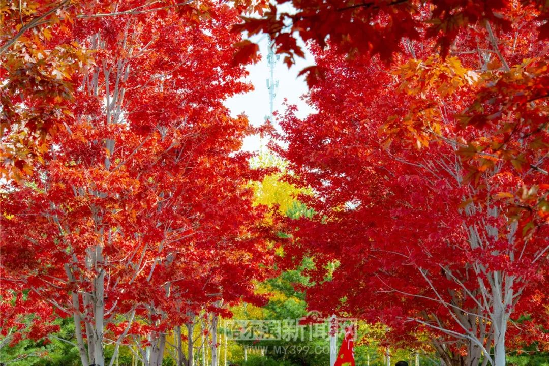 精品国产一卡2卡3卡4卡新区