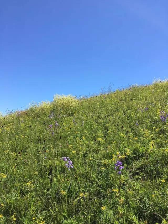 亳州市保硕中药材种植有限公司 招标 亳州保证金金额与缴纳方式