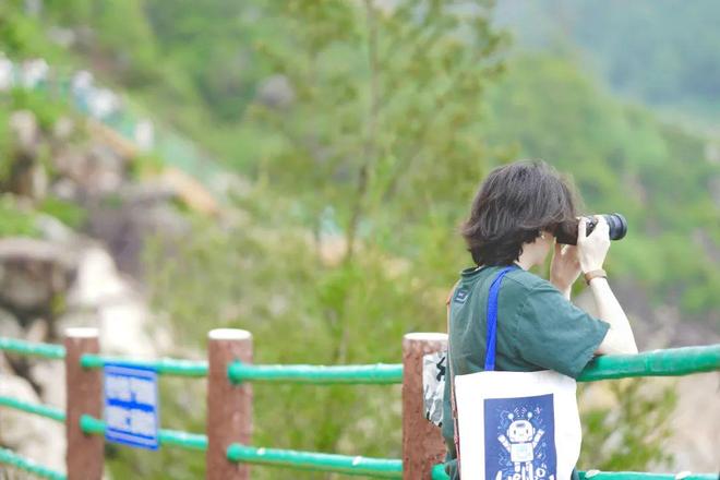 香港瓜 香港瓜每百克可达25毫克