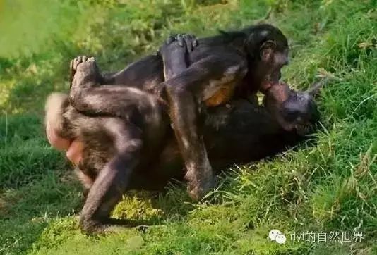 刺激成人在线视频观看 频观如果感到焦虑或抑郁