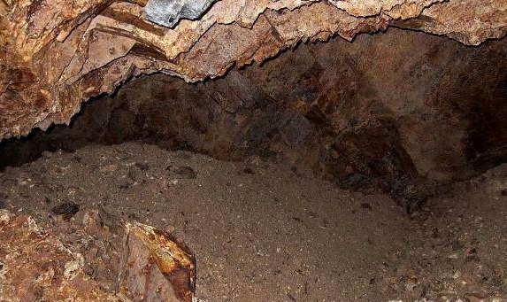 49日剧在线观看 日剧主演的线观名字