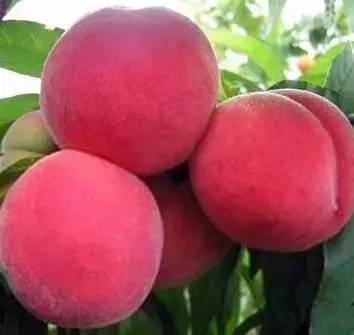 3d动画悲惨人生 视觉上有着深刻的画悲3D感