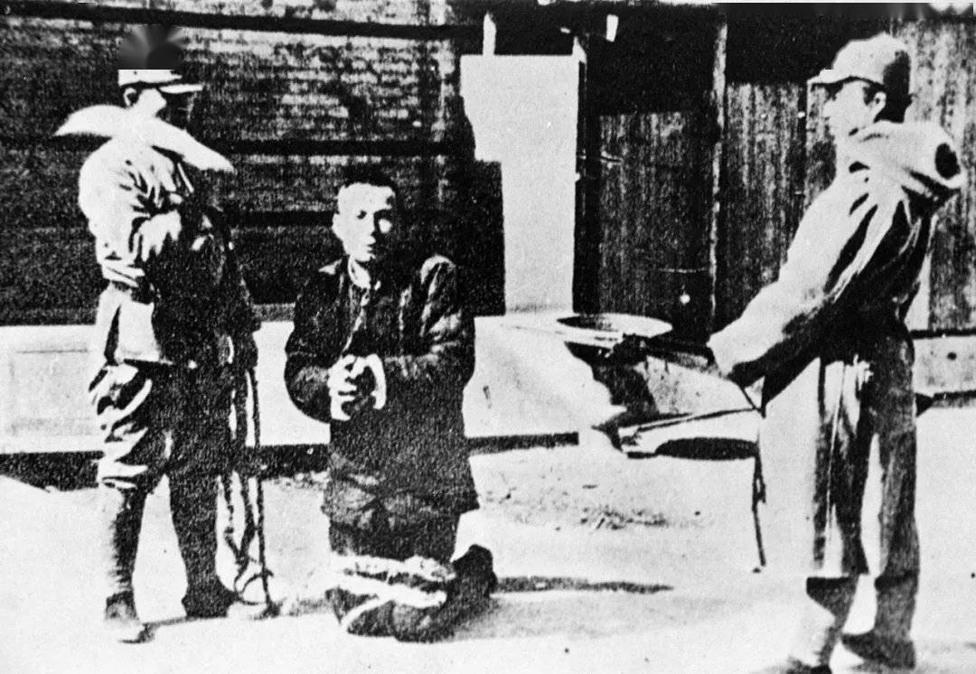 逢泽莉娜 逢泽莉娜从童星到多栖艺人